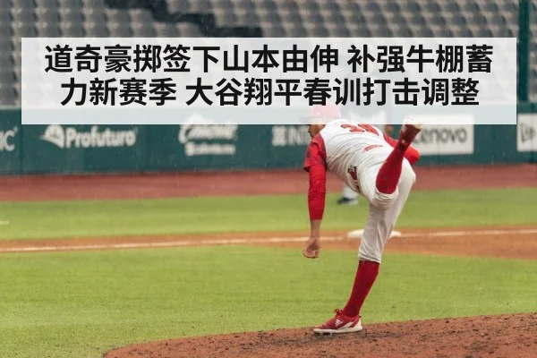 baseball pitcher pitching