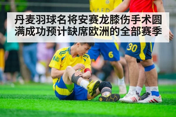 丹麦羽球名将安赛龙膝伤手术圆满成功预计缺席欧洲的全部赛季